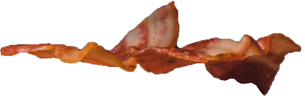 Bacon