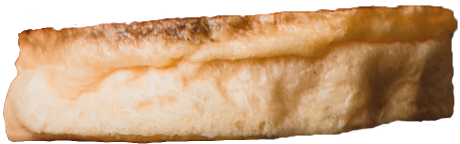 Bottom Bun of Burger