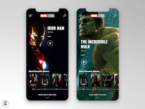 Iron Man and Hulk Shot