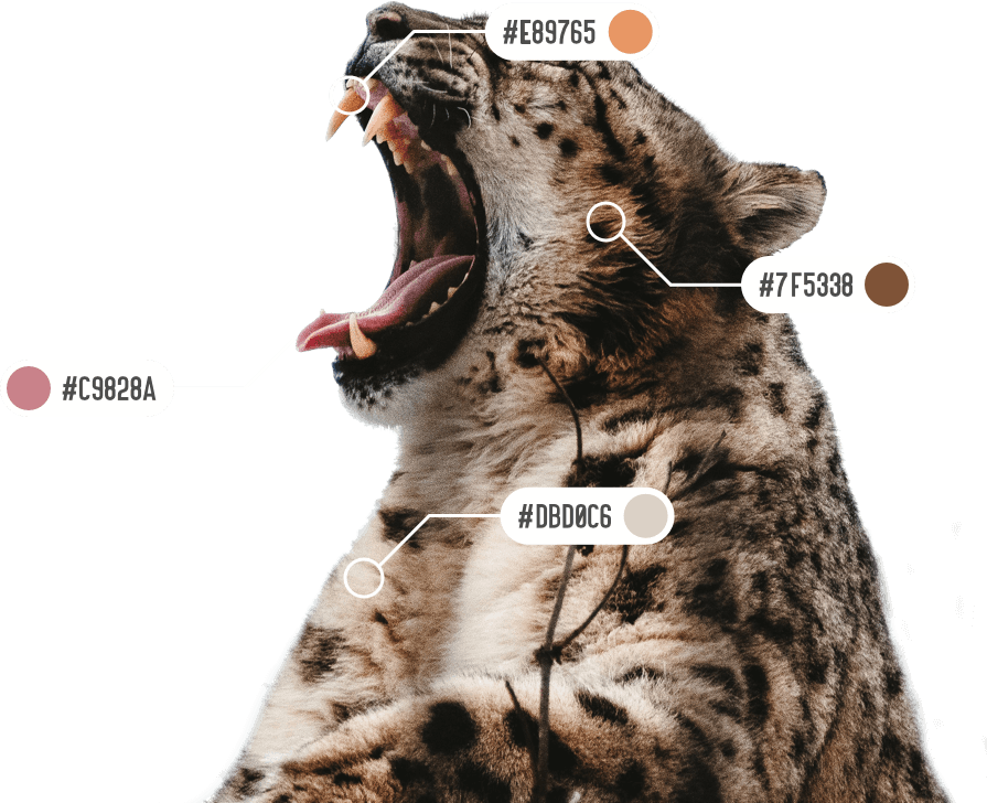 Snow Leopard and color swatches