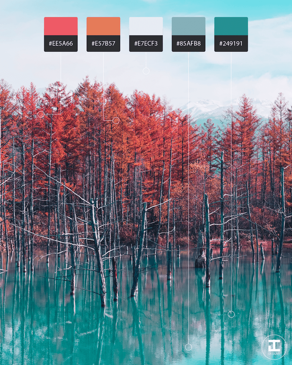 Forrest Shot