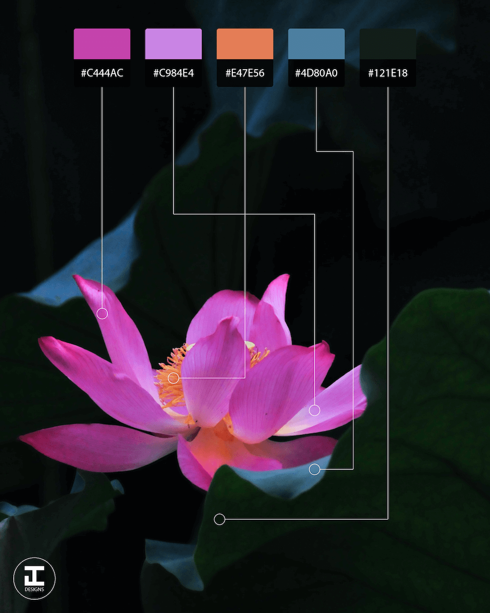 Flower Shot